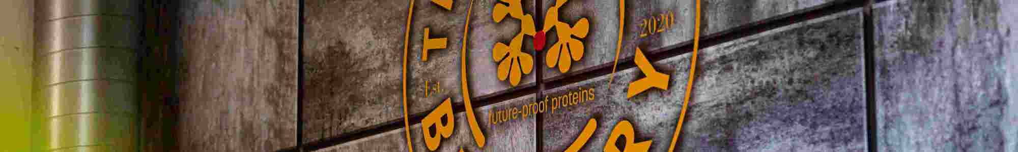 The Protein Brewery 03.1
